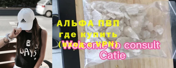 гашик Баксан