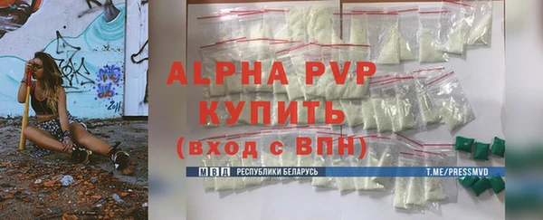гашик Баксан