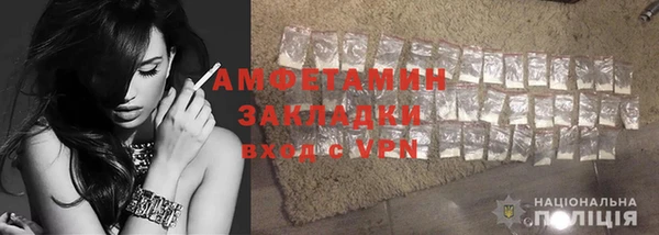 индика Кулебаки